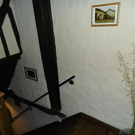 Azahar * מוגאראז