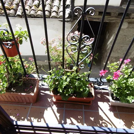 Azahar מוגאראז