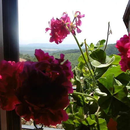 Azahar Apartment Mogarraz