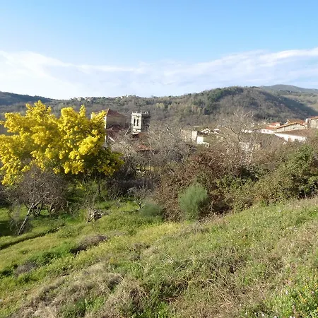 Azahar מוגאראז