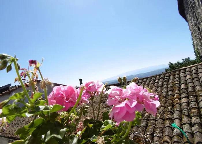 Azahar * 모가라스