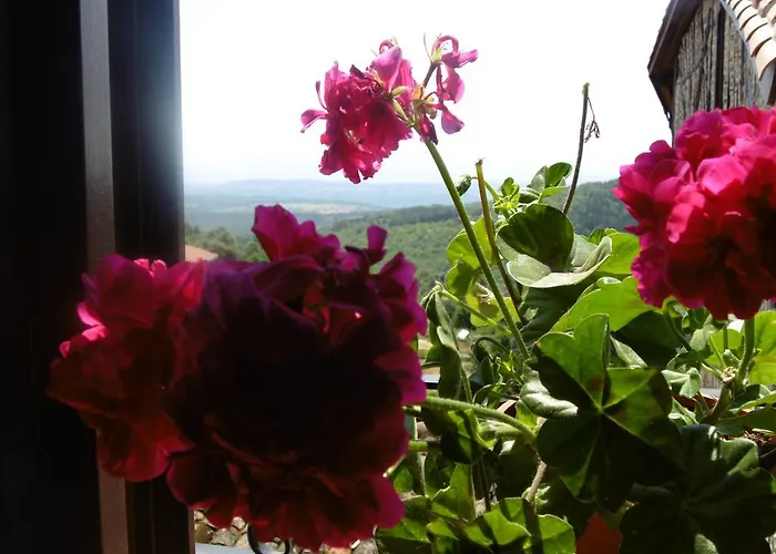 Azahar 아파트 모가라스